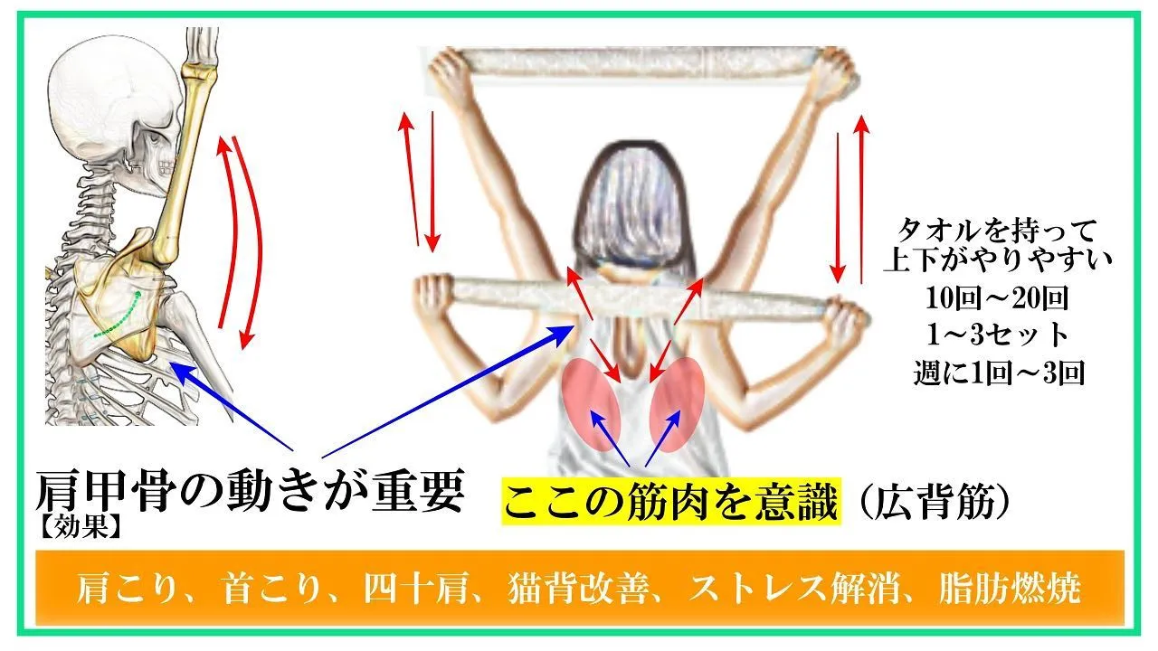 🔥デスクワーカー必見エクササイズ🔥